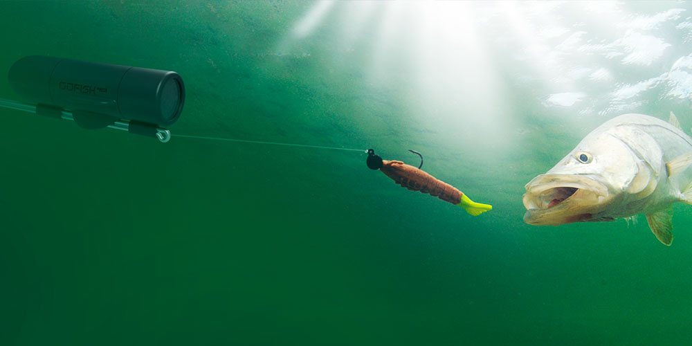 An underwater fishing scene.
