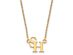 14k Yellow Gold Sam Houston State Small Pendant Necklace