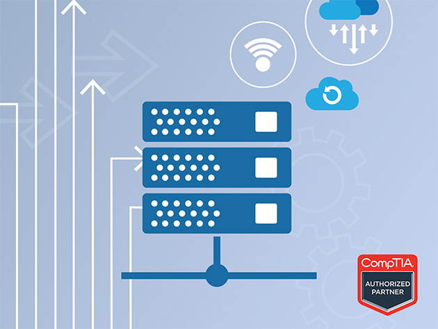 IT Networking Fundamentals Certification Training