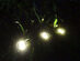 Runway Solar LED Lights Set