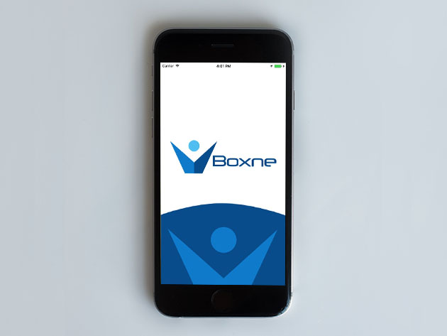 Boxne SSD Hosting Lite Plan: Lifetime Subscription