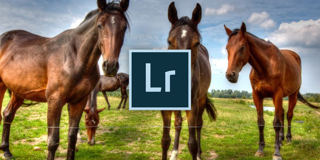 Adobe Lightroom For Beginners