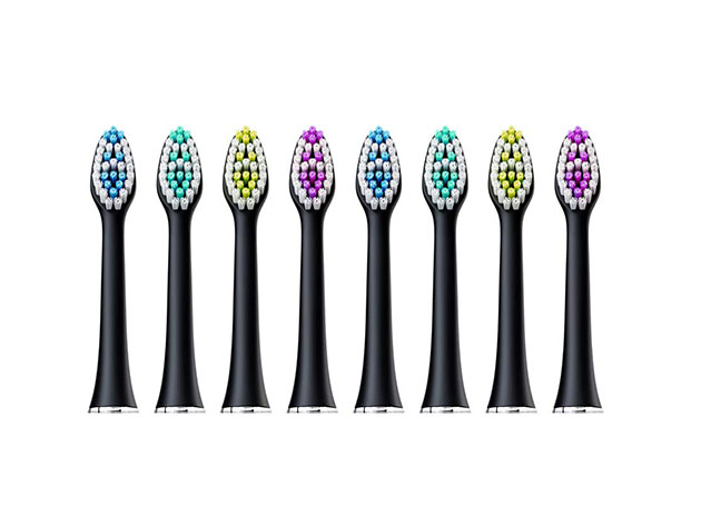 Sonic EDGE Rechargeable Toothbrush + 8 Brush Heads 