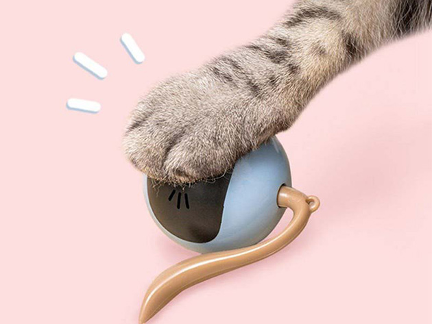 Smart & Interactive Self-Rotating Ball Cat Teaser
