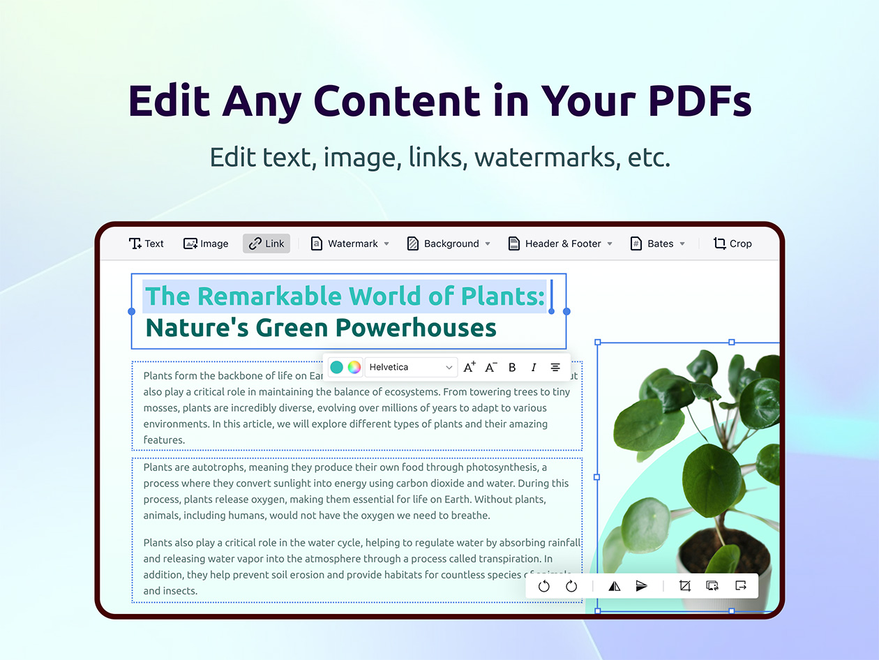 PDF Reader Pro Premium License For Windows: Lifetime Subscription