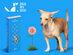 DNA My Dog Canine (Allergy Test Only)