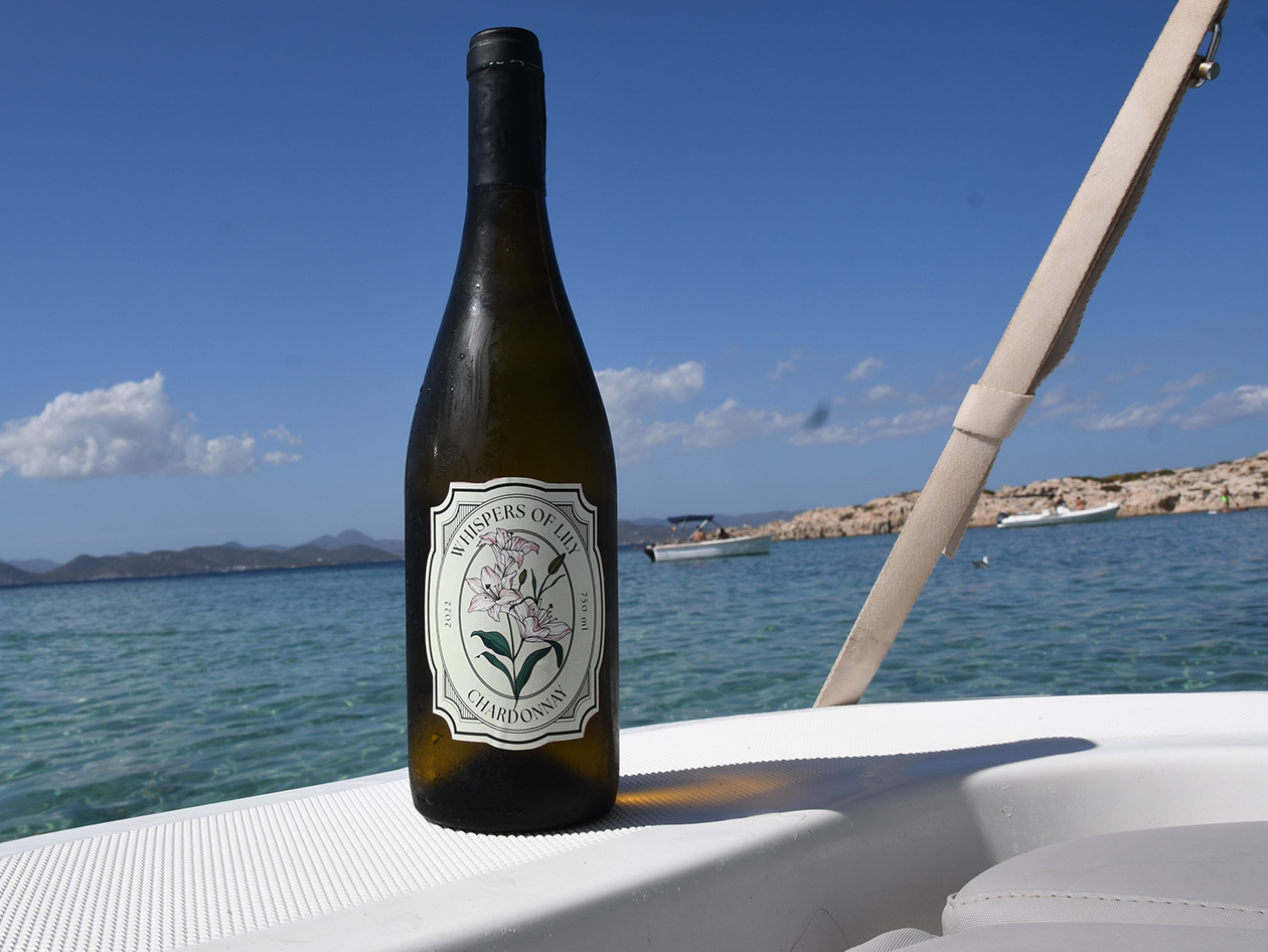 15 Bottles of Curated Wines (Shipping not included)
