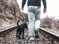 Leash Training: Stop Pulling on the Leash - Product Image