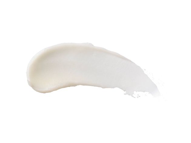 Burt's Bees Vanilla Bean Moisturizing Lip Balm