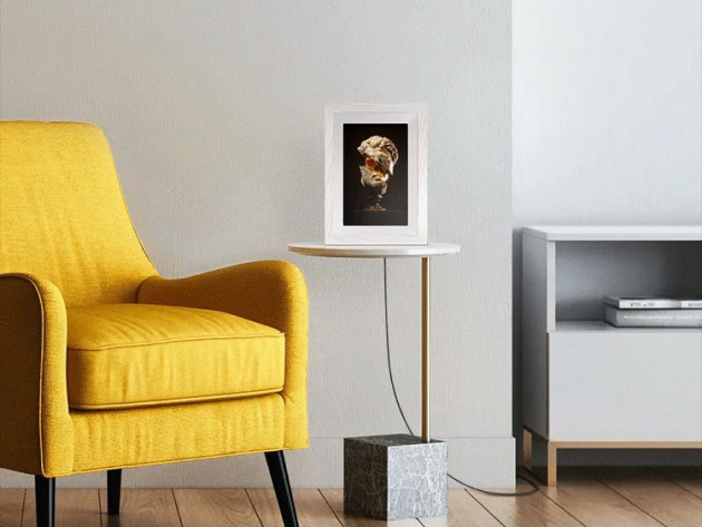 10" TBLTP Tokenframe™ NFT Display (Woodgrain White)