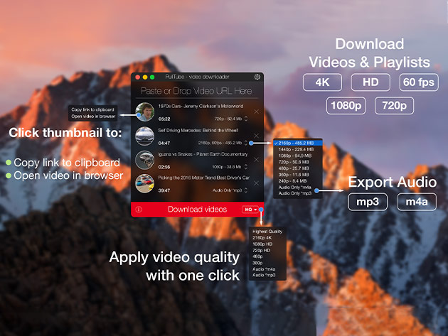 PullTube: Online Video Downloader (Lifetime License)