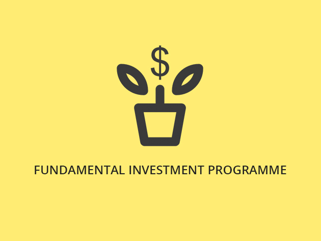 Fundamental Investment Programme