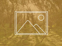 adobe creative cloud photography storage student adobe creative cloud photography storage student