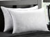 MicronOne Allergen-Free Gel Fiber All-Sleeper Pillows: 2-Pack (King)
