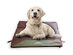 HEATD Dog Pet Bed Mattress with Removable Heating Pad, Rechargeable Battery & Cooling Pad Slots