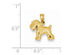 14K Yellow Gold Schnauzer Dog Charm Pendant Necklace with Chain