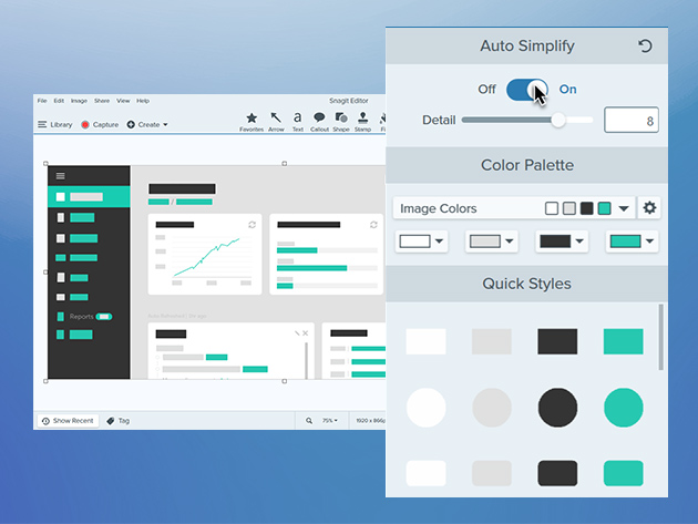 snagit lifetime license