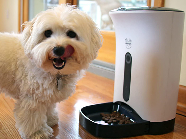 Arf Pets Automatic Pet Feeder Food Dispenser for Dogs & Cats