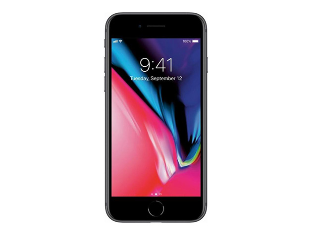 Apple iPhone 8 (A1863) 256GB - Space Gray (Grade A+ Refurbished: Wi-Fi + Unlocked)