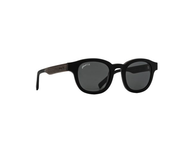 Pilot Sunglasses Matte Black / Smoke Polarized