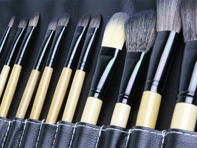 Professional Makeup Brush Kit & Carrying Case