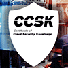 CSA Certificate Of Cloud Technology Security Knowledge (CCSK)