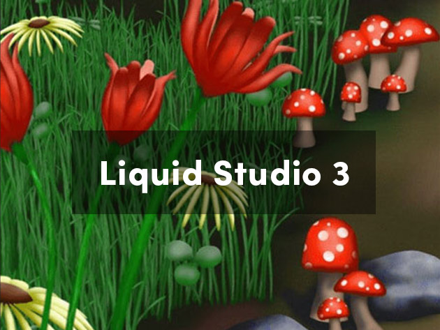 Liquid Studio 3