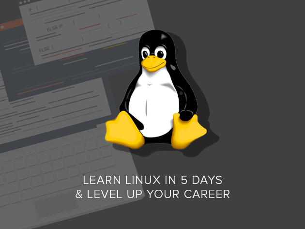 Learn Linux in 5 Days & Level Up Your Career