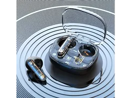 Transparent Bluetooth 5.3 Earbuds