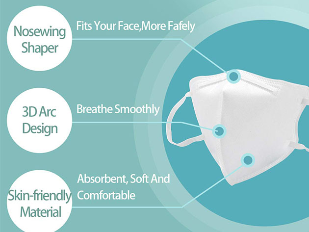 Particulate Respirator Face Masks: 10-Pack