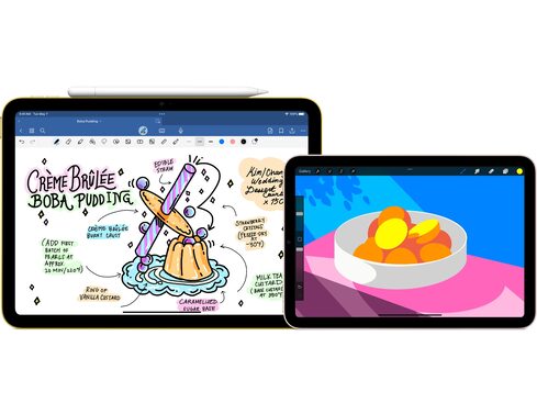 美品】Apple Pencil USB-C Apple Pencil (USB-C)