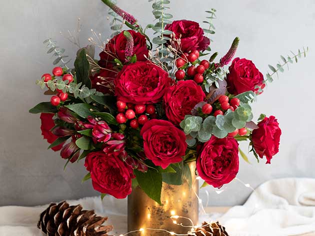 Holiday Gifting Special: Get 24 Long-Stem Roses for $34.99 Shipped!