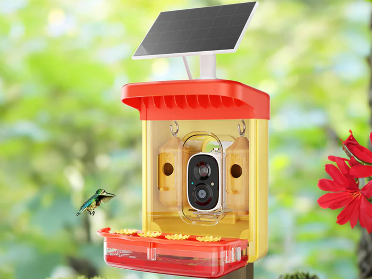 HummerHi Solar Powered Smart Hummingbird Feeder with Camera