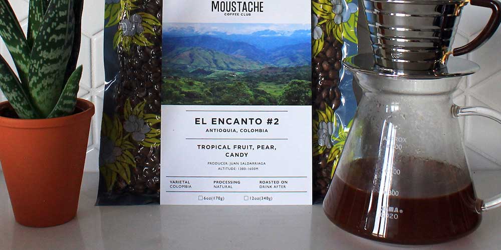 Moustache Coffee Club: 6-Month Solo Artist Subscription