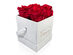 Chounette L' Etonnante 4 Preserved Roses Box for Only $28.88 shipped!