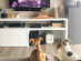 Relax My Dog Video Streaming: 5-Yr Subscription