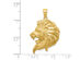 14K Yellow Gold Large Lion Head Charm Pendant Necklace with Chain