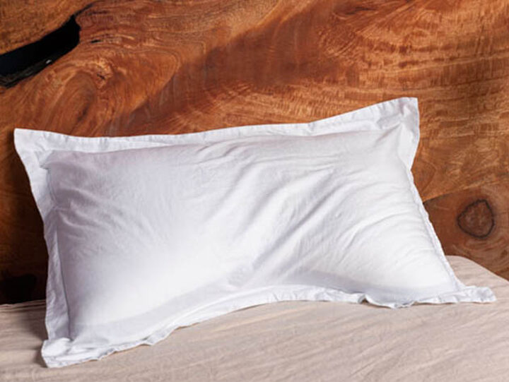 Eli & Elm Cotton Side Sleeper Pillow