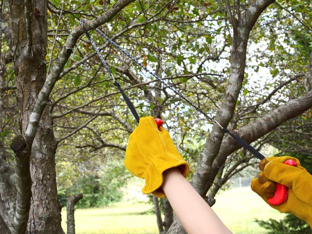 Amazing Portable Chainsaw