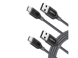 Anker PowerLine+ 6ft USB-C to USB 2.0 Cable Gray