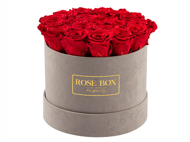 Rose Box™ Medium Velvet Gray Box & Everlasting Roses