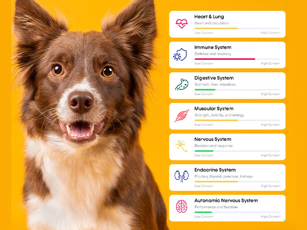 Dog Wellness Test Kit (2-Pack)