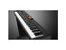 Casio CDPS350  CDP-S350 Compact Digital Piano Black