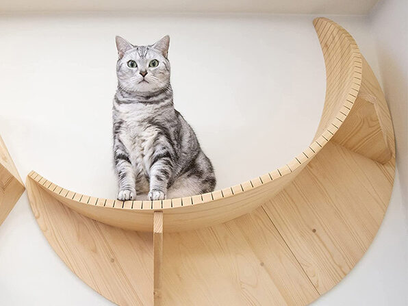 wall cat bed