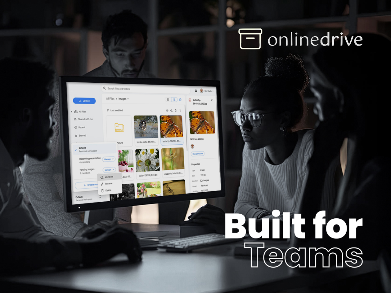 OnlineDrive Cloud Storage: Lifetime Subscription (Business Plan/2TB)