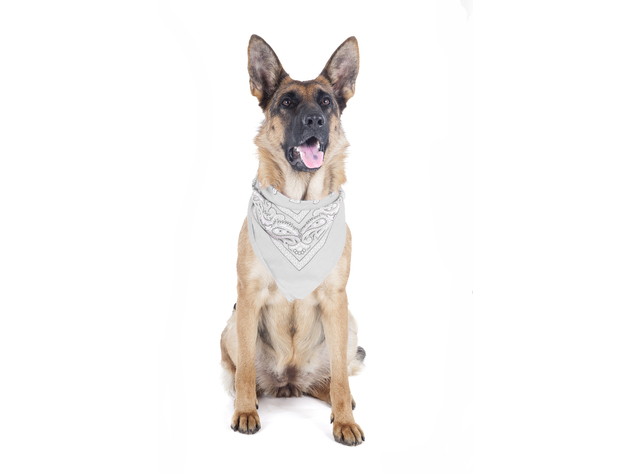 Balec Paisley Polyester Pets 6 Pack Dogs Bandana Triangle Shape  - Oversized - White