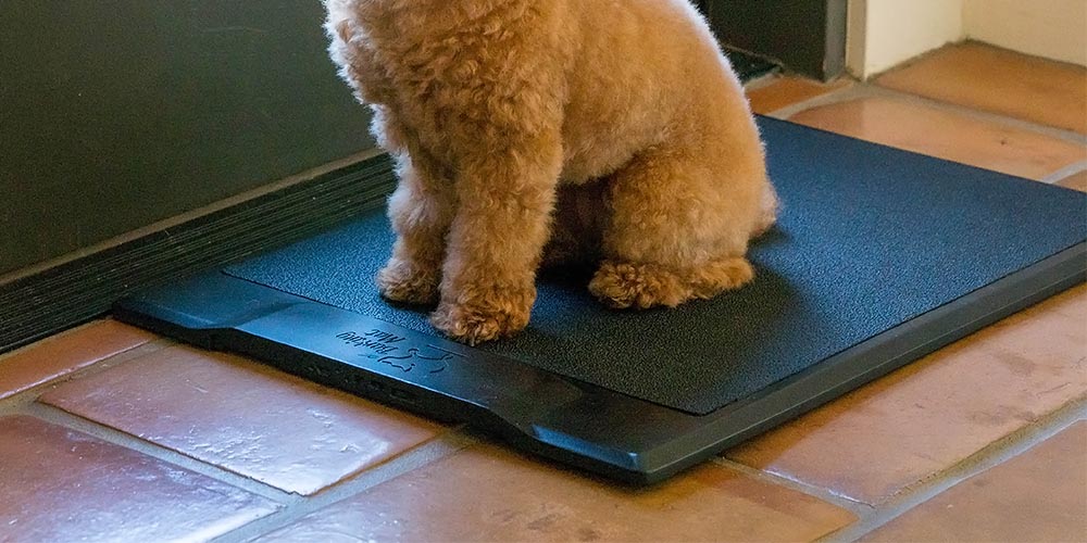 dog training mat