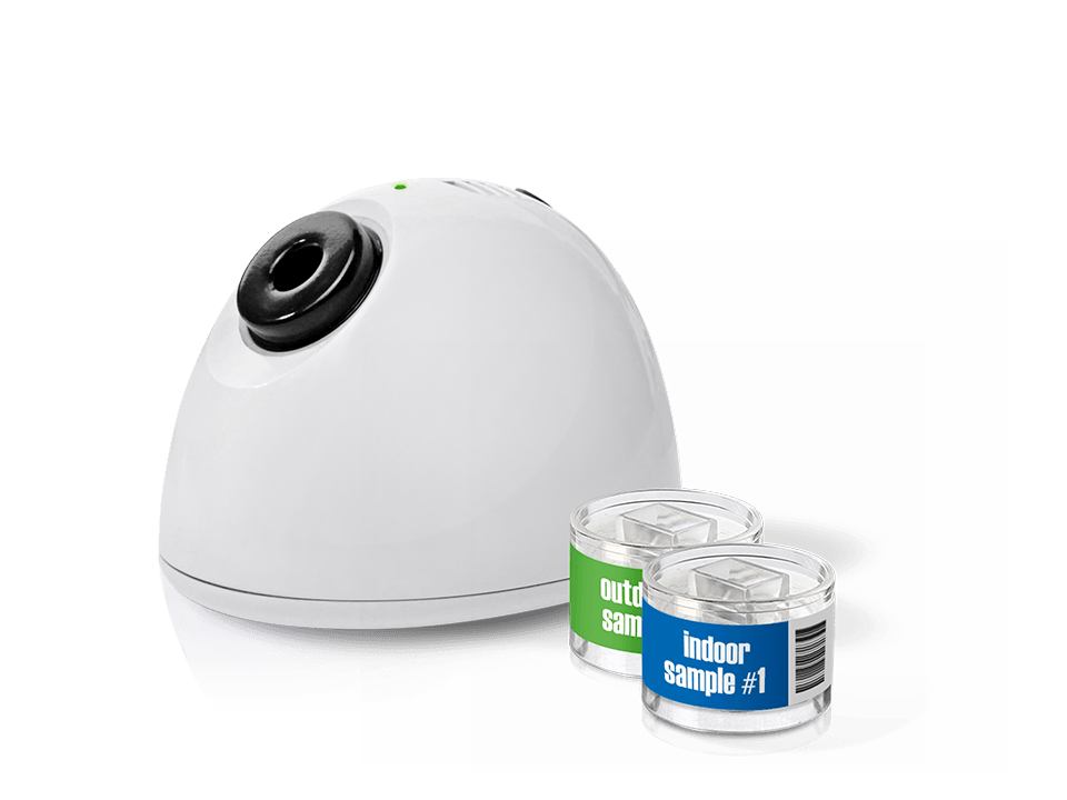 GOT MOLD? 1 Room Test Kit StackSocial