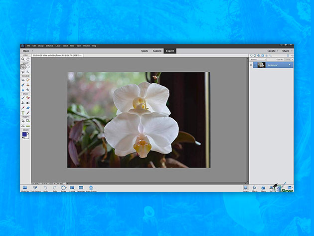 The Complete Adobe Photoshop Elements Course