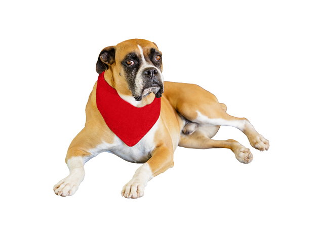 Mechaly 6 Pack Solid Polyester Dog Neckerchief Triangle Bibs  - Extra Large - Mix Colors
